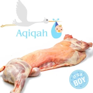 Aqiqah Geboorte offer_jongen geboortelam Halal Meat Express