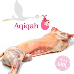Geboorte offer Aqiqah meisje geboortelam Halal Meat Express
